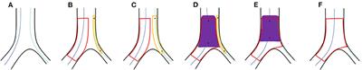 A Novel Strategy to Simplify the Procedures in Treating Complicated Coronary Bifurcation Lesions: From a Bench Test to Clinical Application